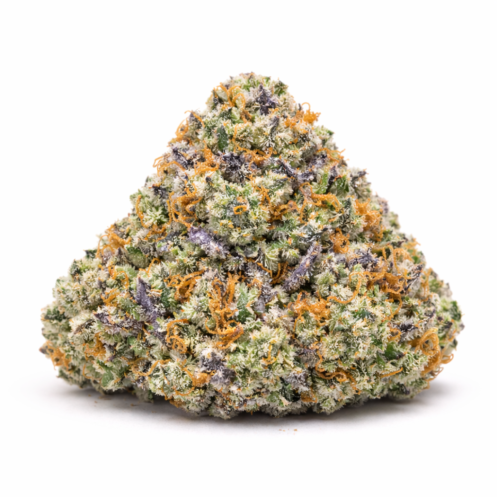 RS11 (Rainbow Sherbert #11)